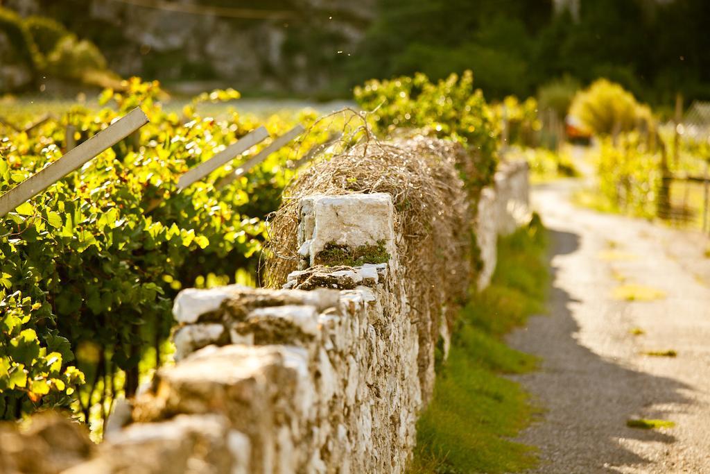 Hotel Continental - Tonelli Hotels Torbole Sul Garda Kültér fotó